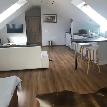 Lejlighed Privatmaja-studiodzivoklis *